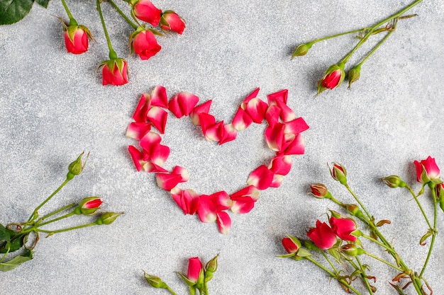 Valentine's day greeting card with rose flowers.