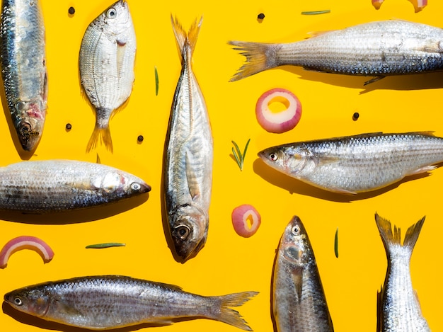 Variety of fresh fishes ready to be cooked