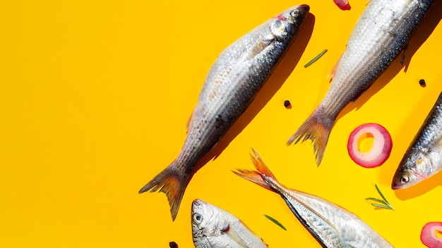 Variety of fresh fishes with gills