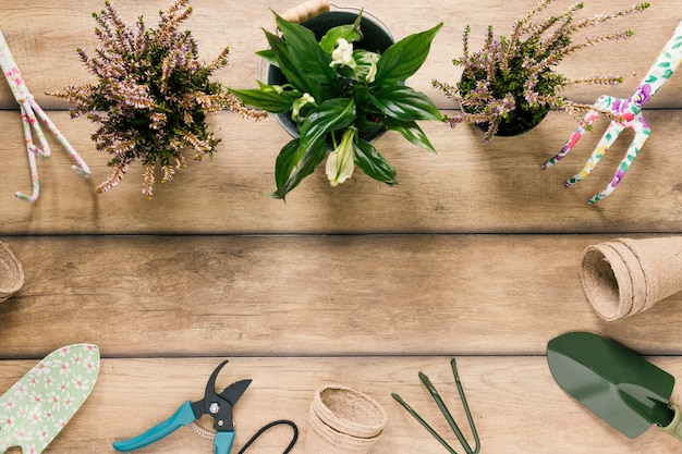 Free photo variety of gardening equipments; flowering plants; peat pot arranged on wooden desk