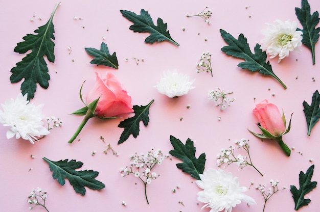 Variety of roses, white flowers and leaves over a light pink surface