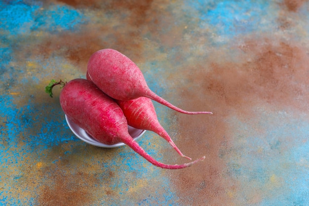 Free Photo various fresh radishes,white radish,long pink radish and black radish.