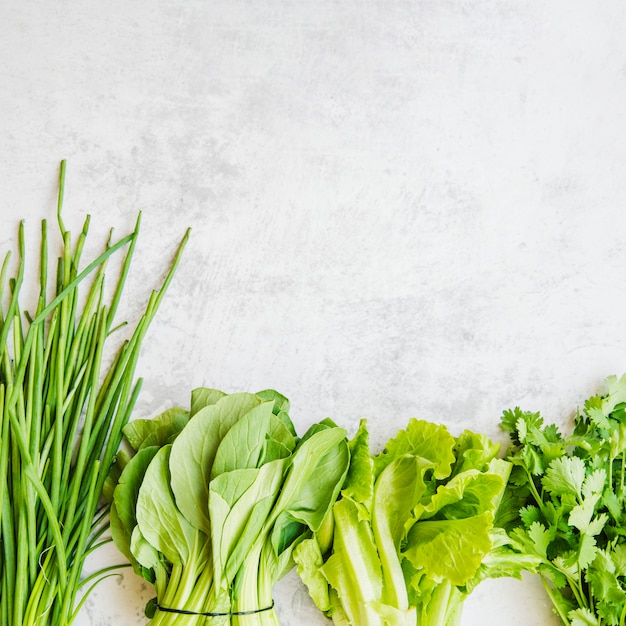 Free photo various green vegetables arranged in a row