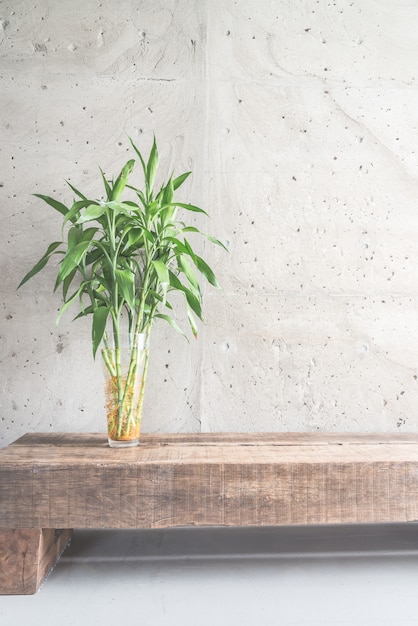 Vase plant decoration with empty room