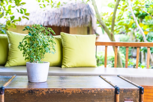 Vase plant on table decoration with pillow on sofa chair