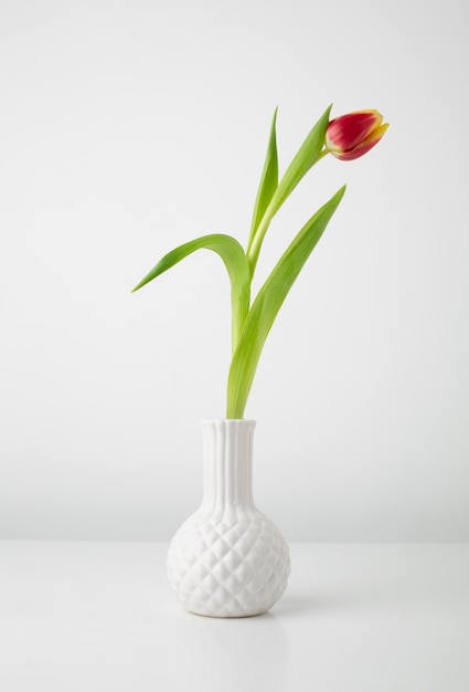 Vase with tulip on desk