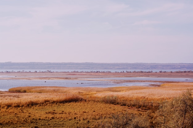 Free photo vast lands covered by dried out grass with the sea in wintertime