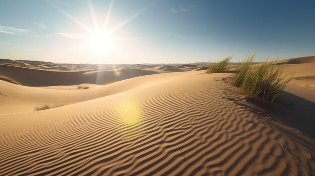 Vast sand dunes stretching to the horizon under the scorching sun