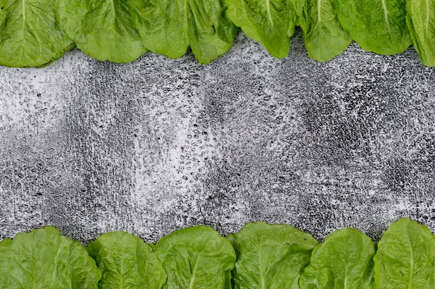 Vegetable frame with lettuce leaves