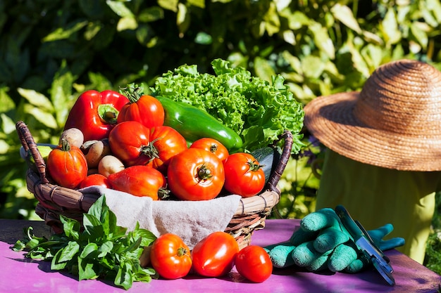 Free photo vegetables in a basket under the sunlight