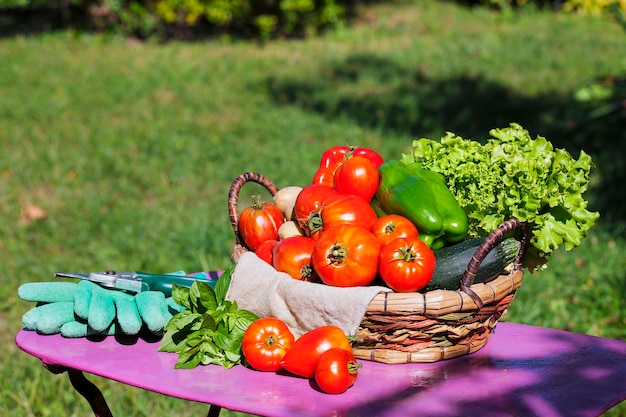 Free photo vegetables in a basket under sunlight