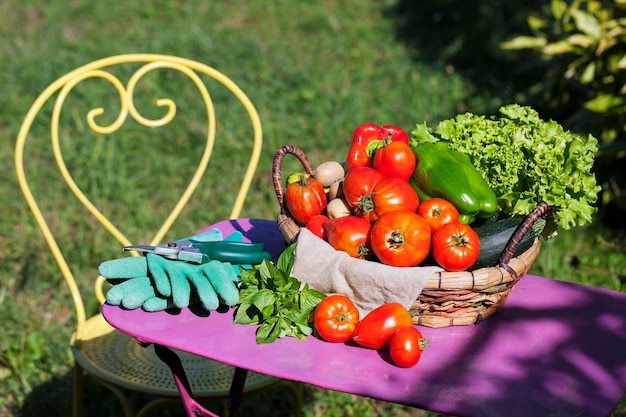 Free photo vegetables in a garden under the sunlight