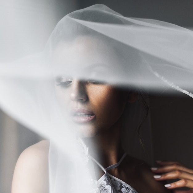 Free photo veil covers bride's face tender while she stands before a window