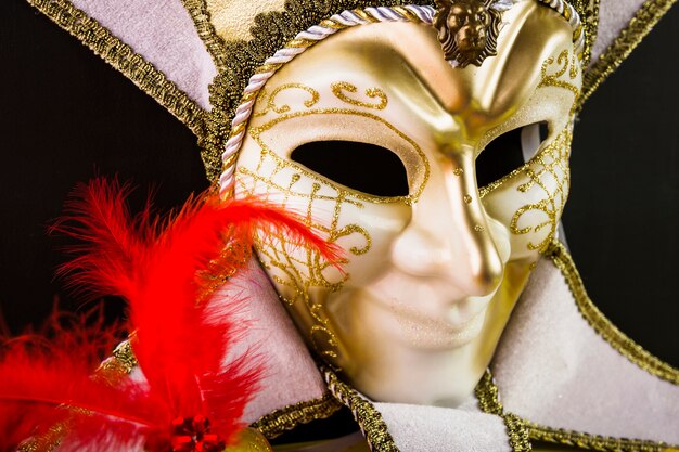 Venetian carnival mask