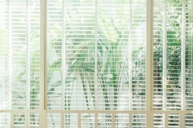 Free photo venetian sunlight interior white brown