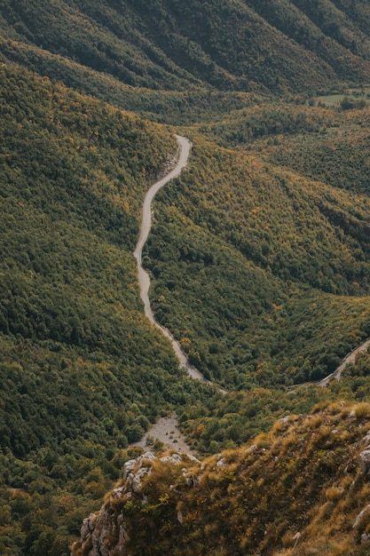 Free photo vertical aerial shot of a dangerous mountain road through a forest of vlasic, bosnia