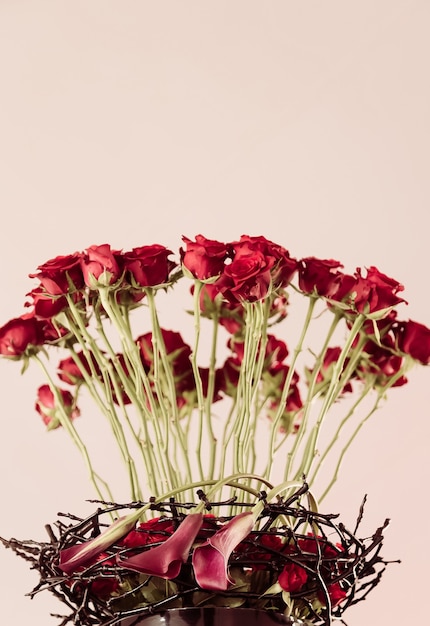 Vertical  of beautiful red rose flowers