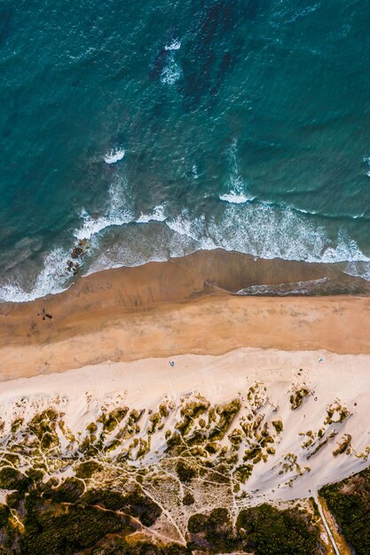 Vertical bird-eye shot of a beach with a blue sea