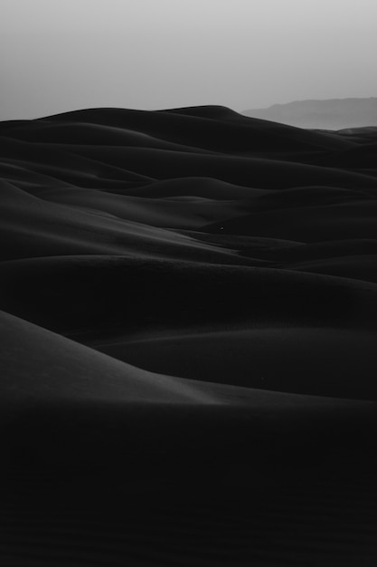 Vertical black and white shot of erg desert