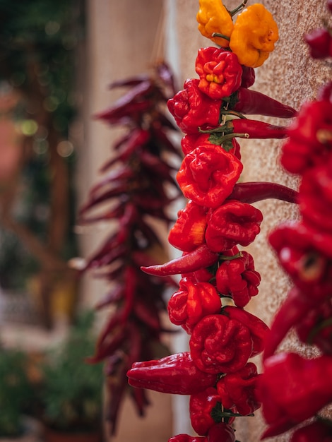 Vertical closeup shot of different dried red chillies hanged on the concrete wall