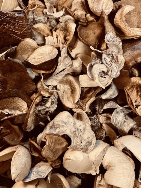 Vertical closeup shot of dry autumn leaves on the ground