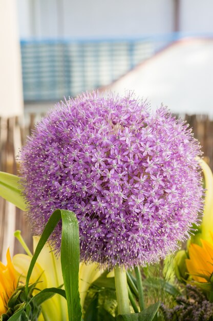 Vertical closeup shot of a garlic plant