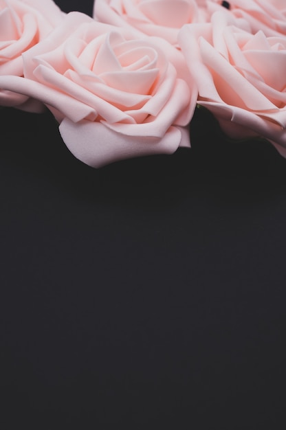 Free Photo vertical closeup shot of pink roses isolated on a black background with copy space