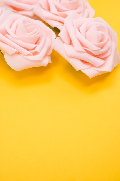 Vertical closeup shot of pink roses isolated on a yellow background with copy space