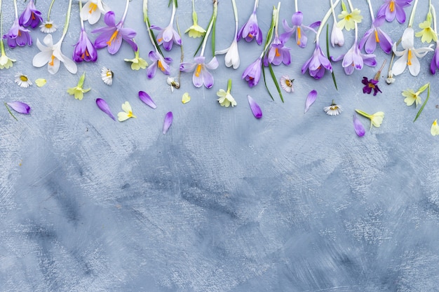 Vertical gray and white background with purple and white spring flowers border and space for text