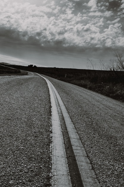 Free photo vertical grayscale shot of a countryside road