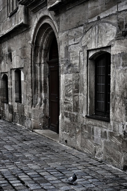 Free Photo vertical grayscale shot of an old historical building with an arch-shaped door