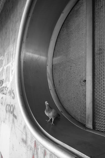 Free photo vertical grayscale shot of a small bird sitting on a ventilation system in a wall with writings