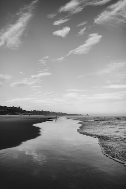 Vertical grayscale shot of a wave and the beach in Dunedin, New Zealand