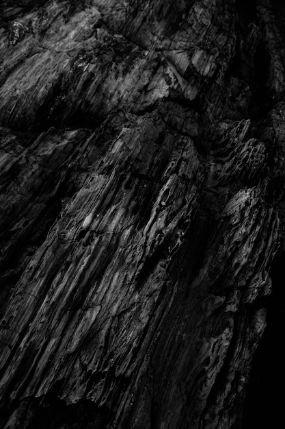 Free Photo vertical grey scale shot of the patterns on the rocky cliffs