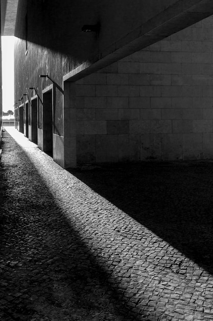 Free photo vertical grey scale shot of the sun shining on the sidewalk through the buildings