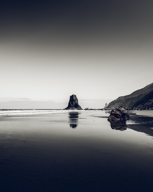 Free photo vertical greyscale shot of the rocks on the shore of the sea