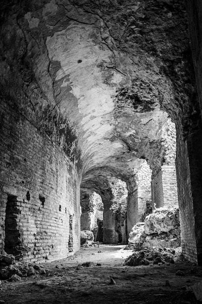 Free Photo vertical greyscale shot of the ruins of an old building