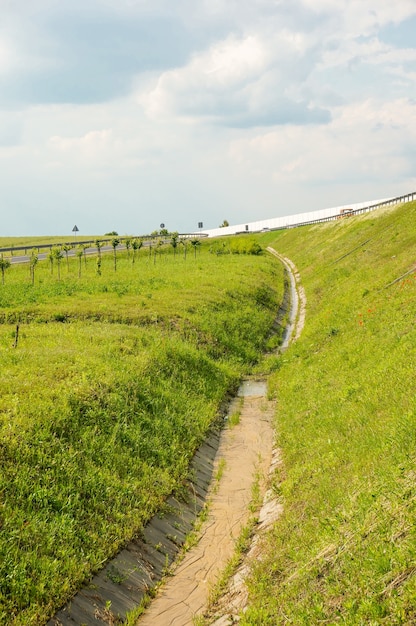 Free photo vertical high angle shot of a green grassy field by a highway