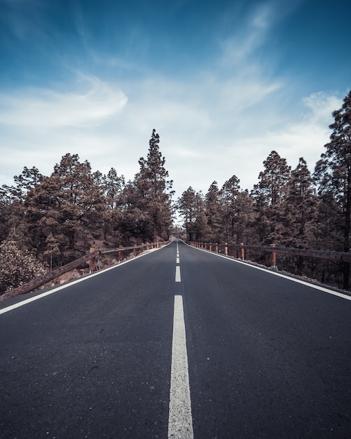 Free photo vertical high angle shot of a highway surrounded by trees under the blue sky