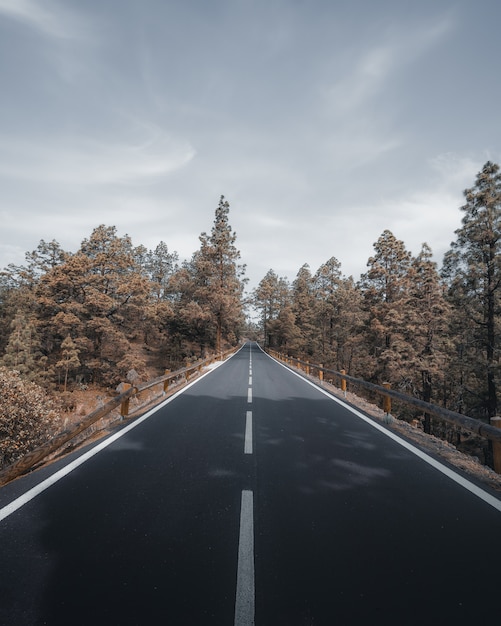 Free photo vertical high angle shot of a highway surrounded by trees under the cloudy grey sky