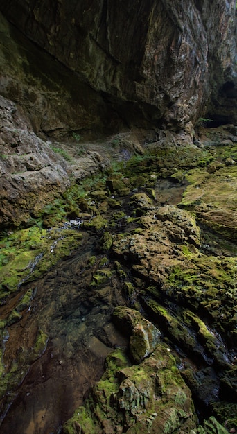 Free photo vertical high angle shot of the rocks covered with moss captured in skrad, croatia