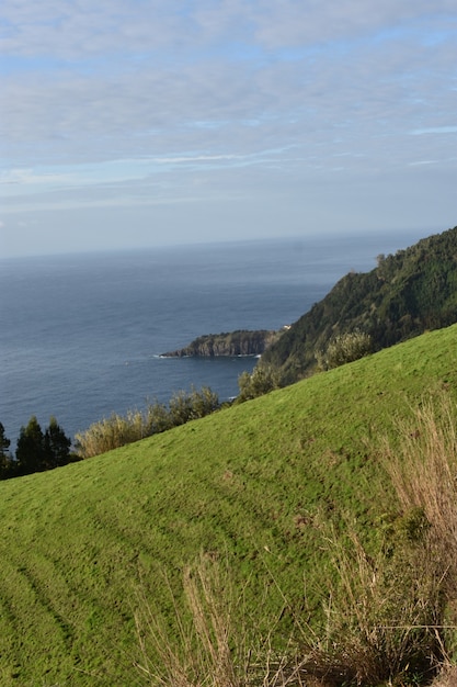 Vertical high angle shot of a sea captured from the tree-covered hill during the daytime