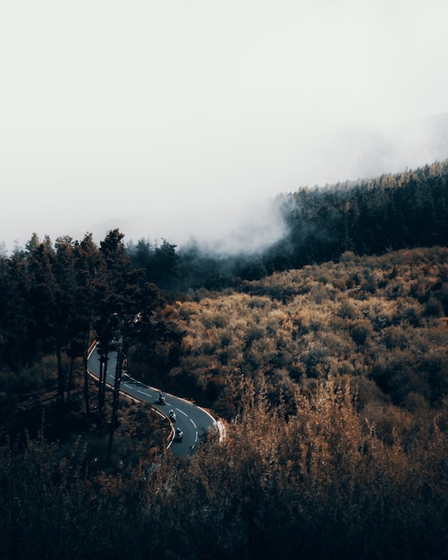 Free Photo vertical high angle shot of a winding highway surrounded by a forest on a foggy  day