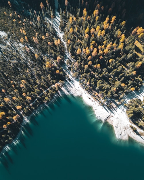 Free photo vertical high-angle view of a lake,  whitr=e shore and forest