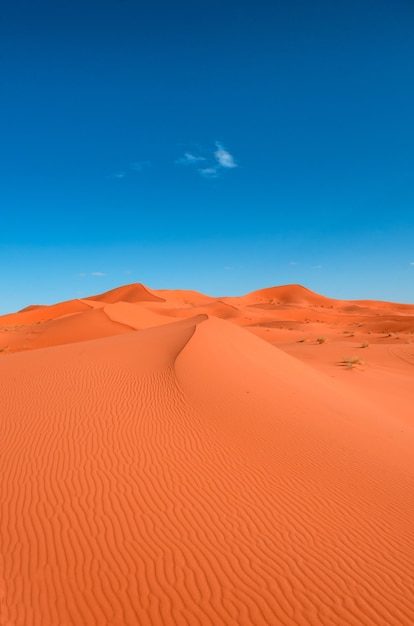 Vertical image of a landscape of orange sand dunes against a blue sky