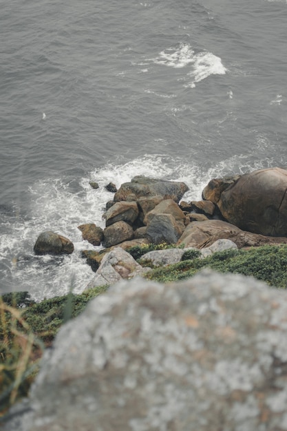 Free Photo vertical image of a rocky shore in sao francisco do sul, brazil