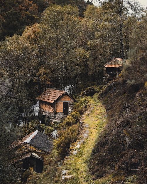 Free Photo vertical image of traditional houses in a village a the side of a mountain surrounded by trees