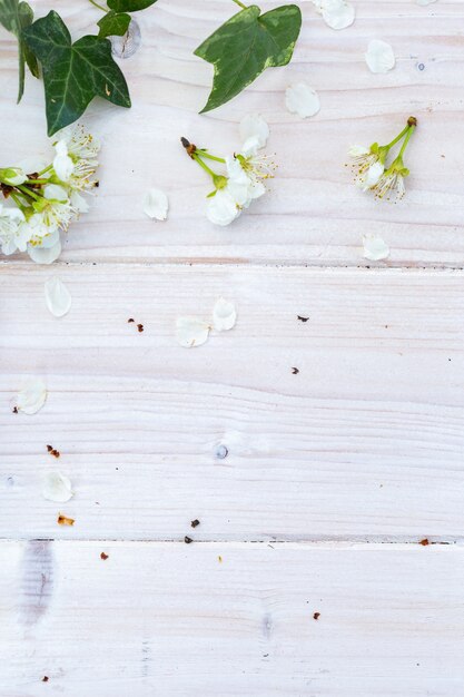 Vertical image of white spring flowers and leaves on a wooden table, flat lay