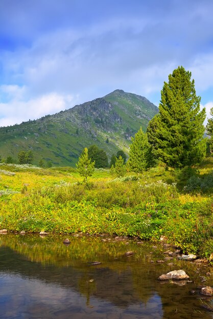 vertical landscape with mountains lake