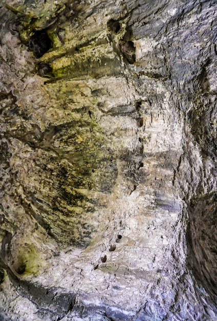 Vertical low angle shot of the beautiful stone walls covered with moss inside a natural cave